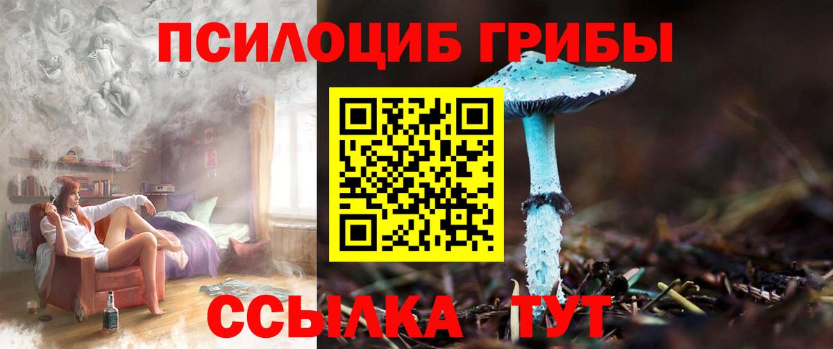 Апшеронск  Галлюциногенные грибы MAGIC MUSHROOMS  Вход с VPN 